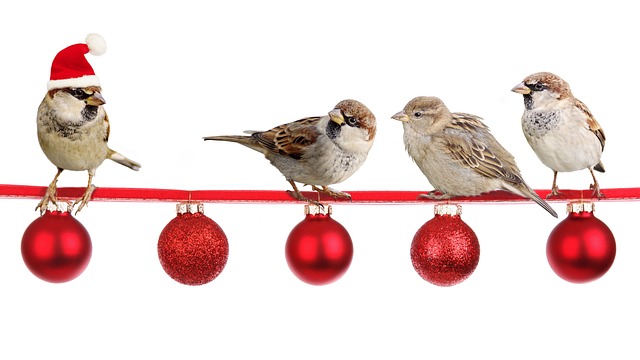 Weihnachtsspatzen
